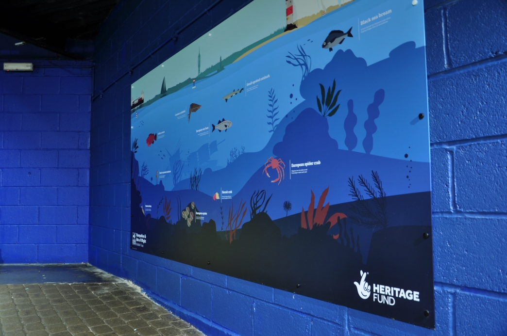 Boost for Blue Reef Aquarium Hampshire and Isle of Wight Wildlife Trust
